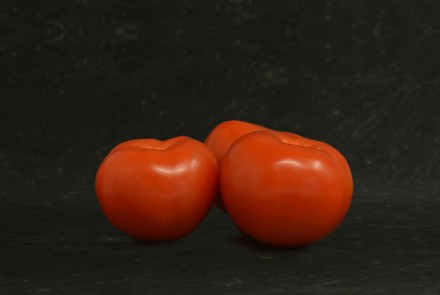 Tomates nantaises