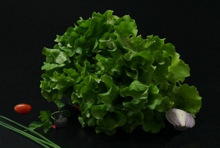 Salade Batavia